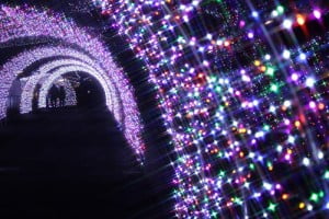 【2015】なばなの里ウィンターイルミネーションの混雑期間はいつ？